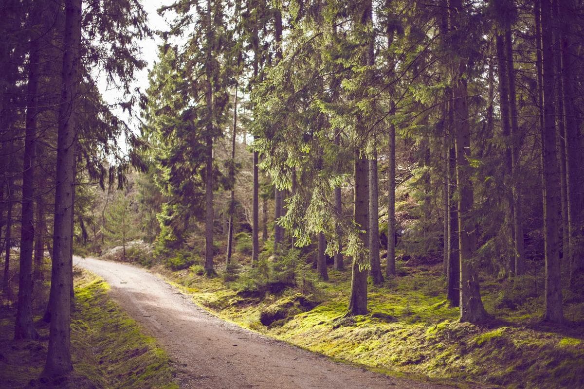Snjókónuvél tilbúin til notkunar